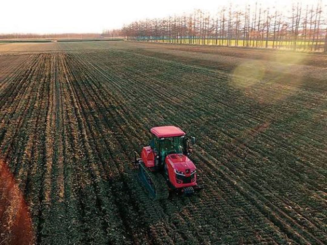 TARO　バールマルクス54.55