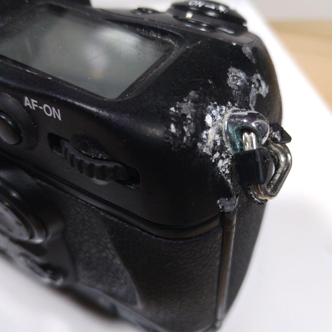 フィルムカメラ Nikon F6