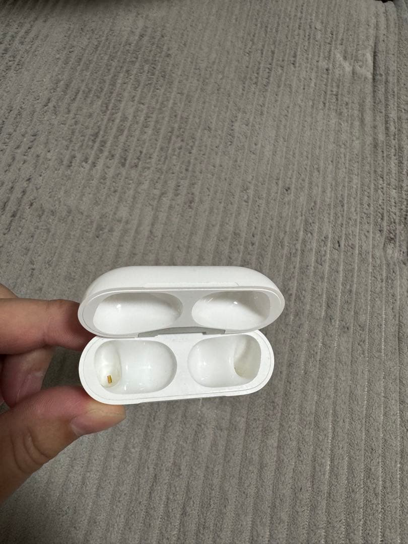 AirPods Pro 本体 充電ケース付き　ライトニング端子