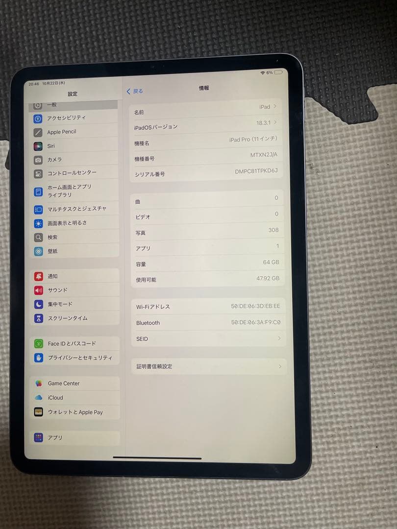 Apple iPad pro 11インチ (第1世代)64GB
