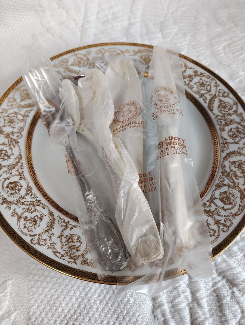 チャウーノパリシリーズ　カトラリー4本×2セット　フェルニオングラス