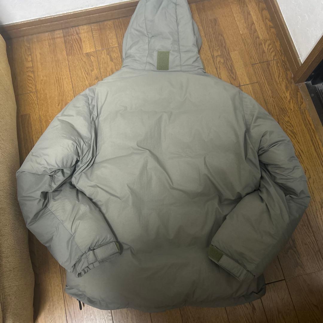 ワイルドシングスダウン