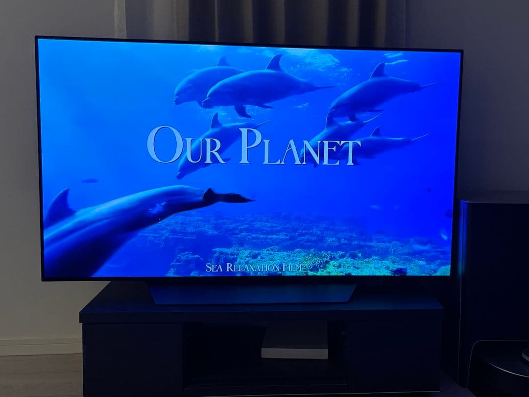 【仙台市 引取り限定】LG OLED 55インチテレビ OLED55B8PJA