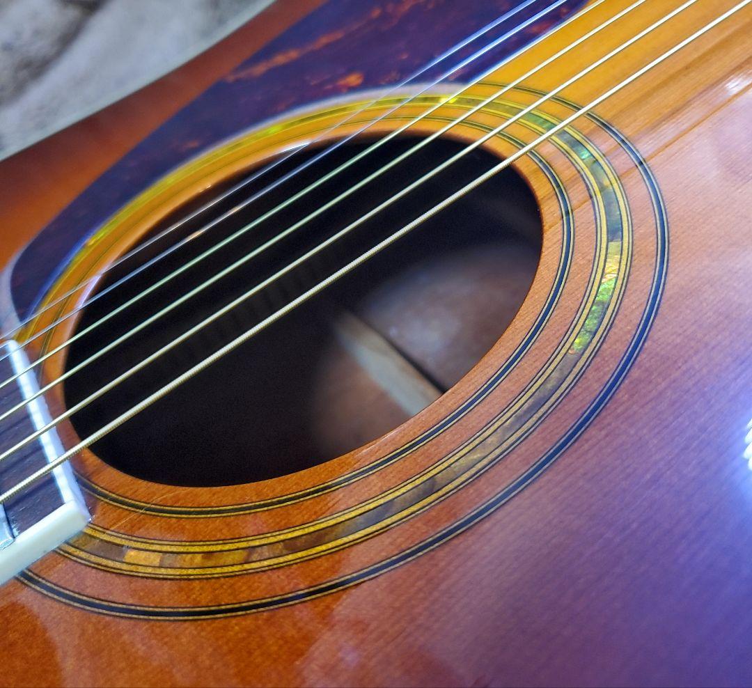 Morris M-50 ハカランダ ジャパンヴィンテージギター ハードケース付