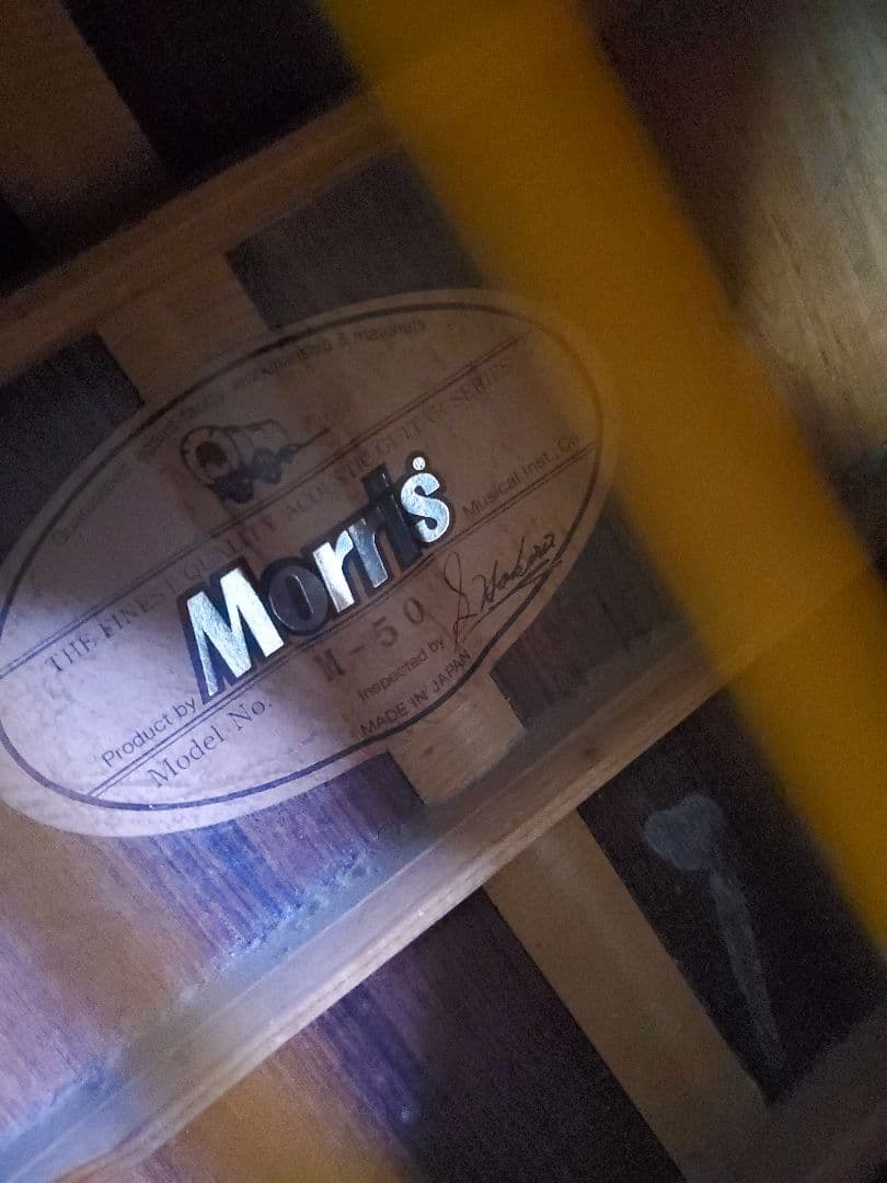 Morris M-50 ハカランダ ジャパンヴィンテージギター ハードケース付
