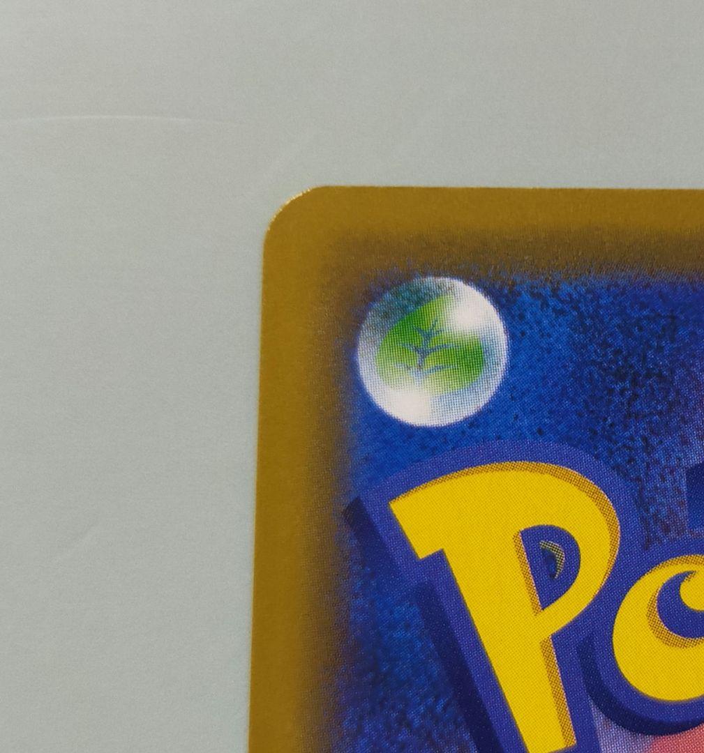 海で遊ぶピカチュウ