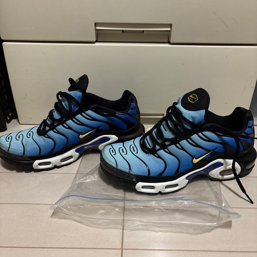 靴 Nike air max plus 26cm