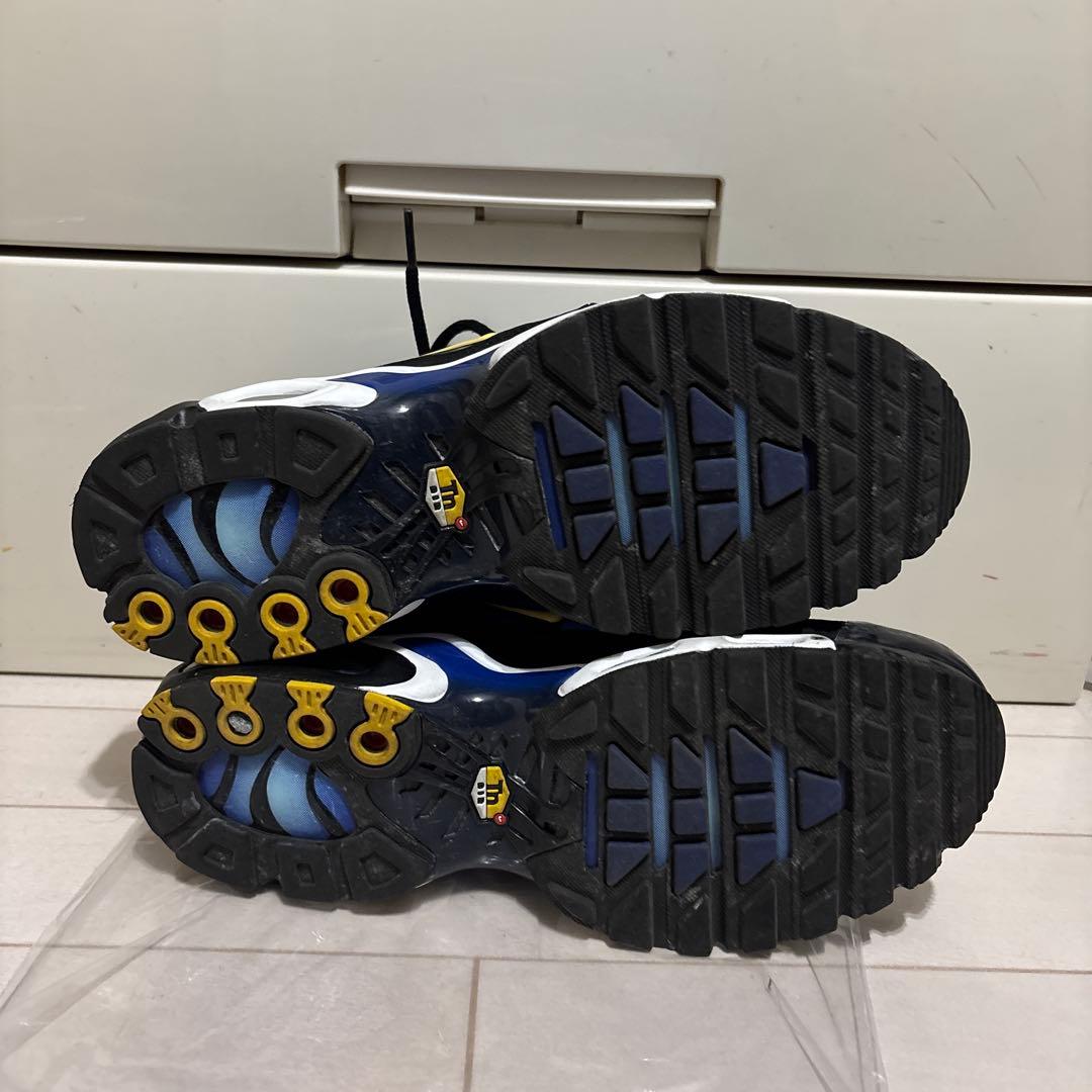 靴 Nike air max plus 26cm