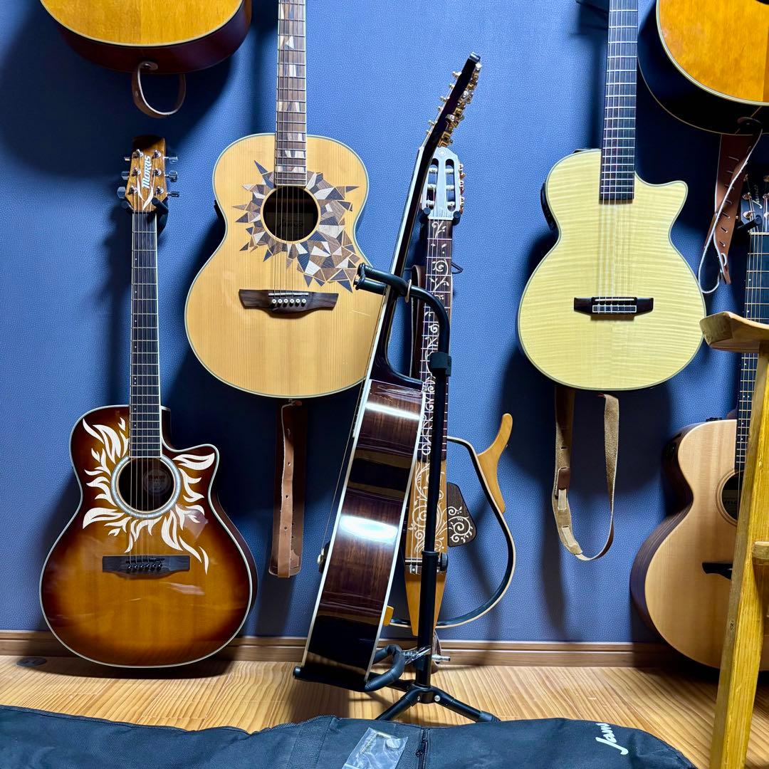 【美品エレアコ】James J500A/ova トップ単板　ソフトケース付き