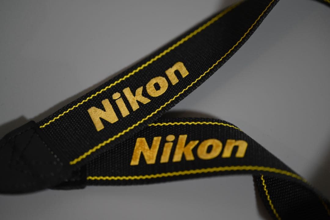 Nikon Zfc (Z fc) シルバー + NIKKOR Z 16-50mm