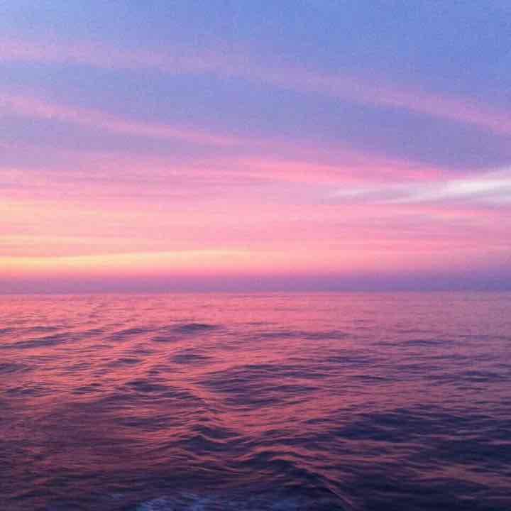 あき穂さん専用！