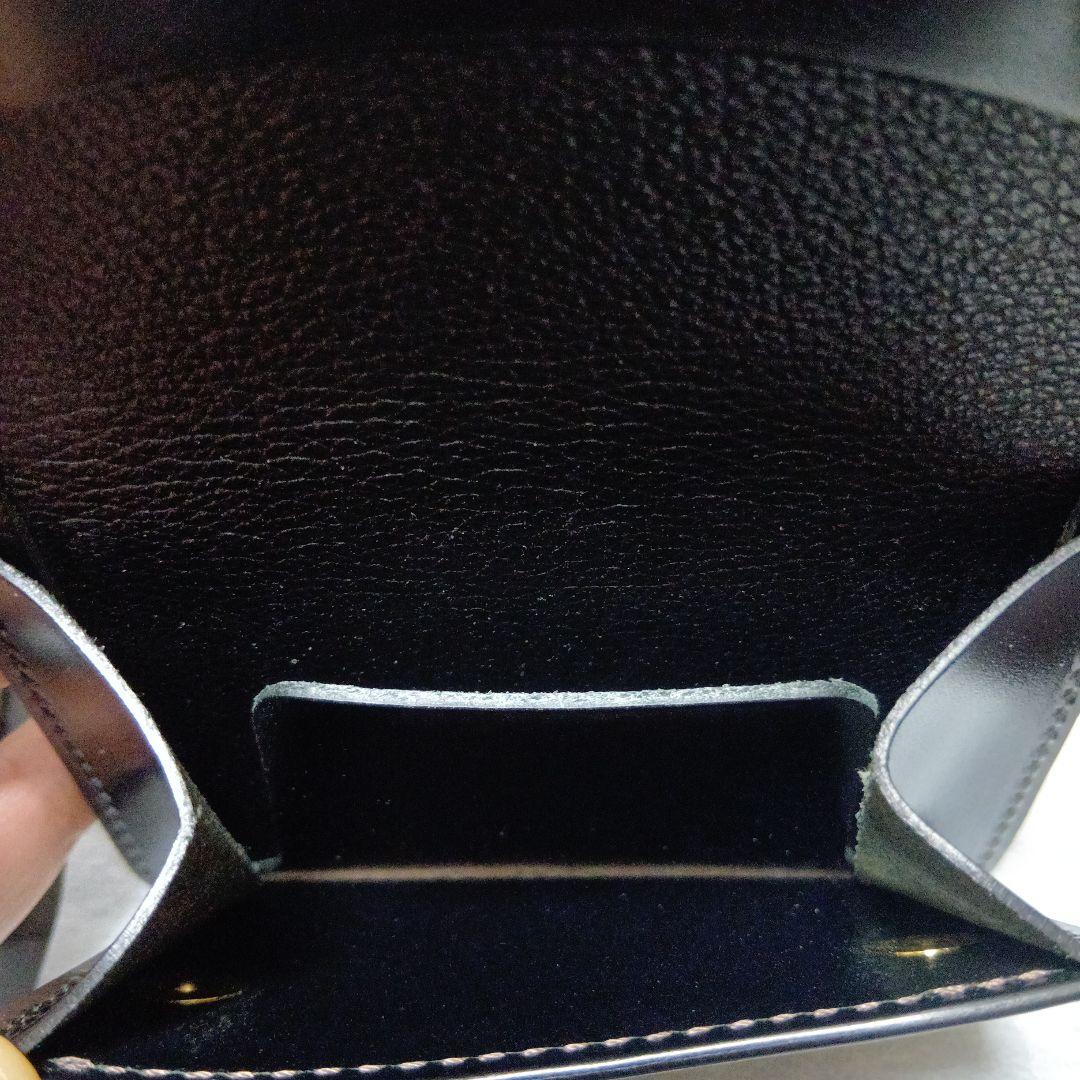 未使用ワイルドスワンズケース