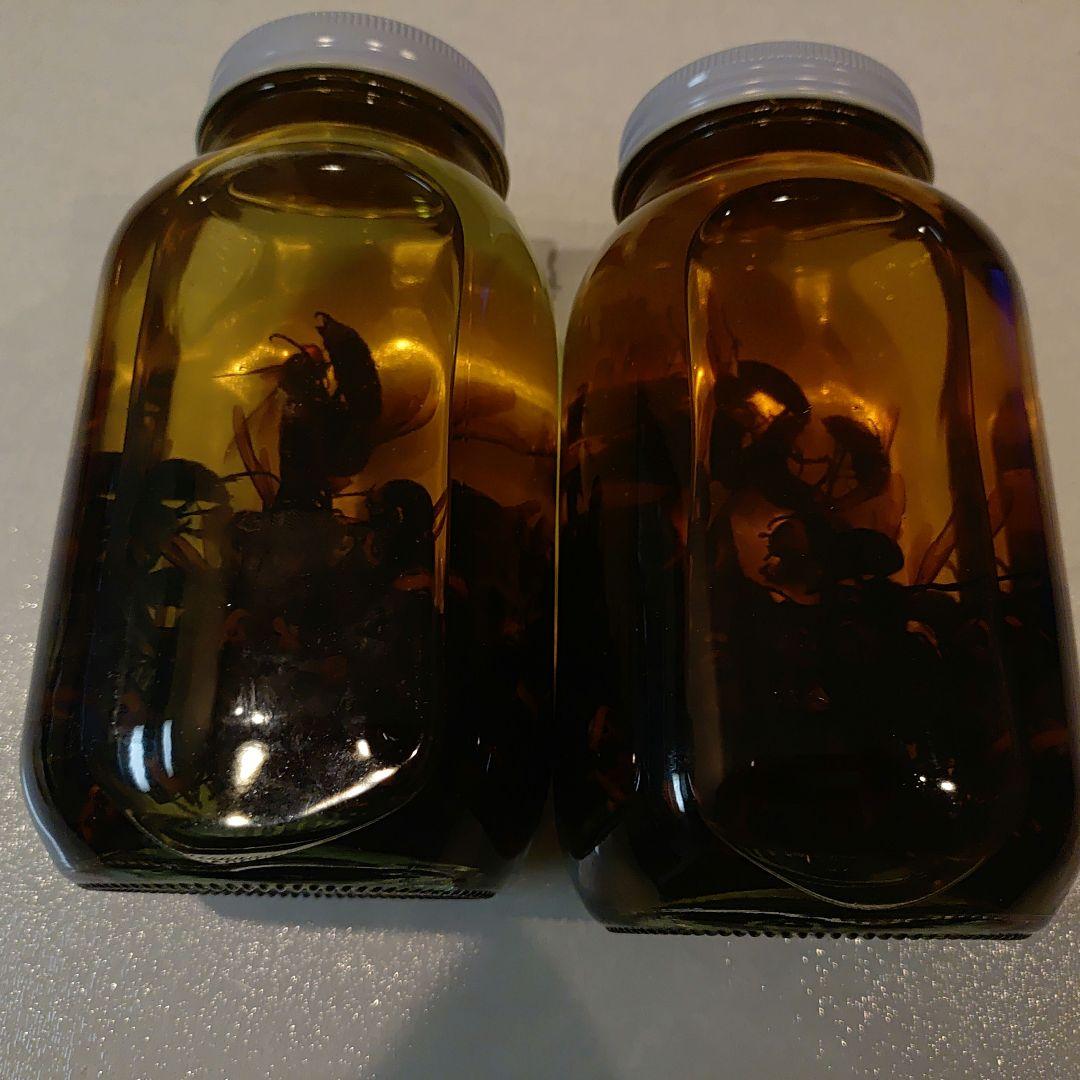 オオスズメバチ焼酎漬け1リットル✕2本　3年もの