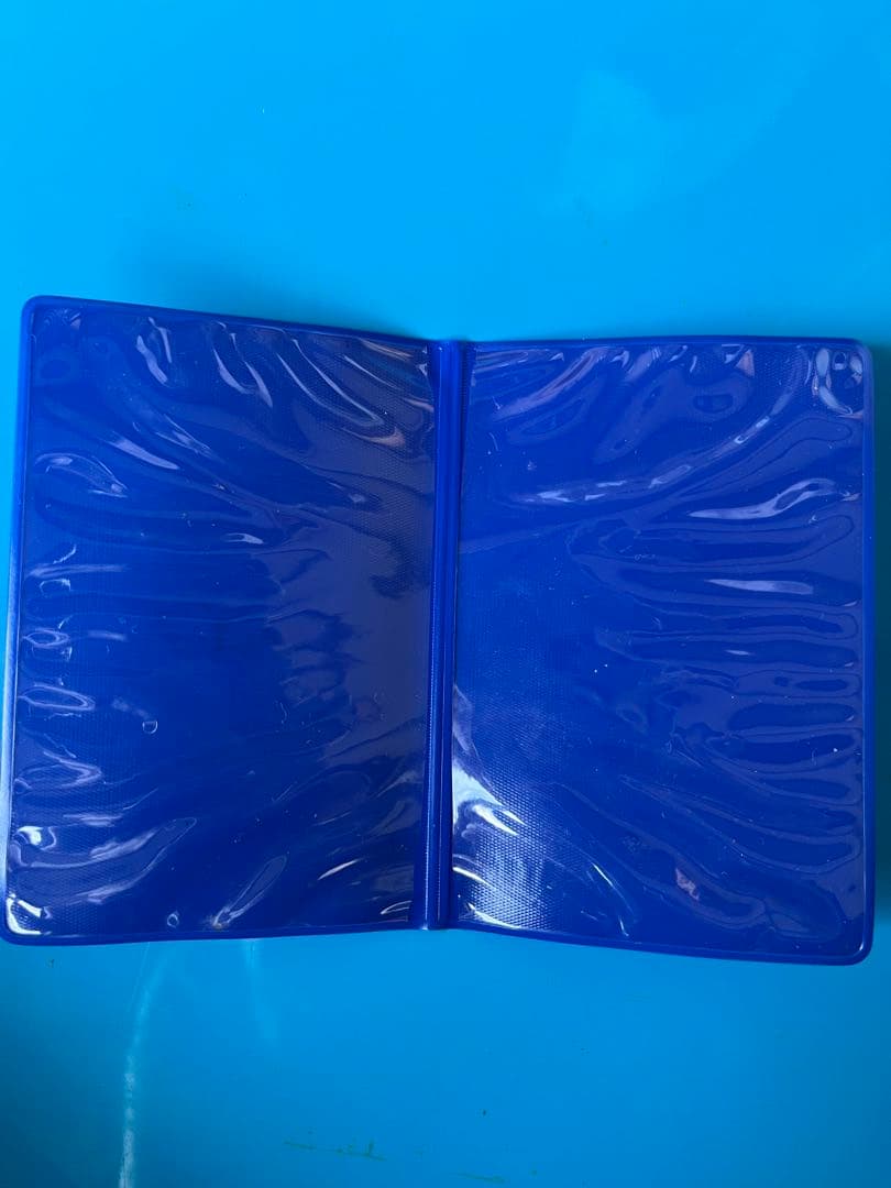 ポケモンカード ANAスペシャル01 ピカチュウ ヨーギラス