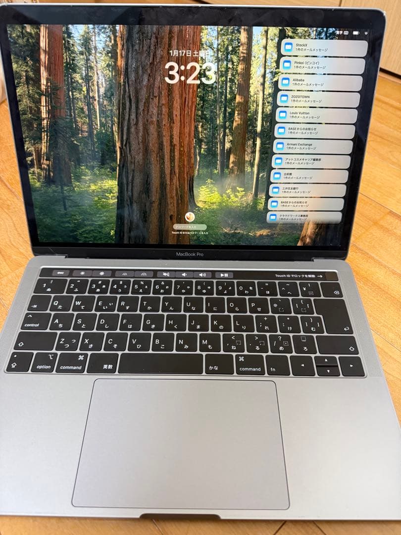 Apple MacBook Pro 13インチ　シルバー 本体箱もついてます