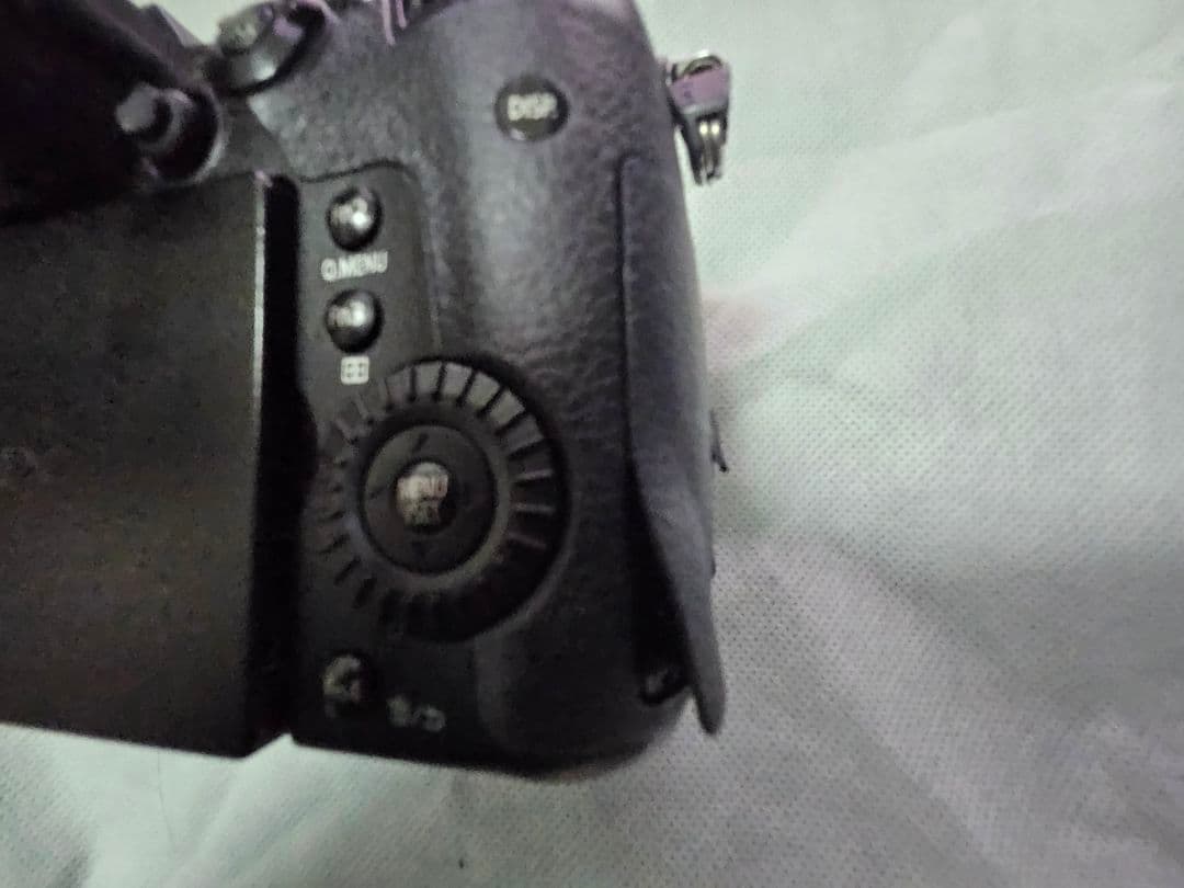 LUMIX GH5 ミラーレス一眼 カメラ