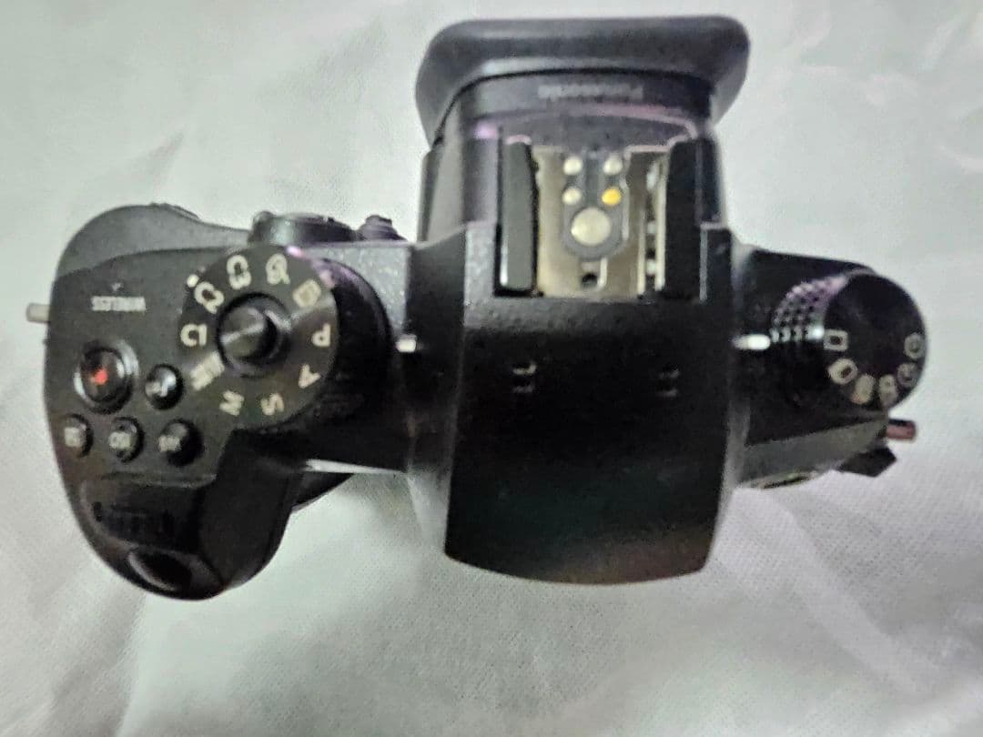 LUMIX GH5 ミラーレス一眼 カメラ