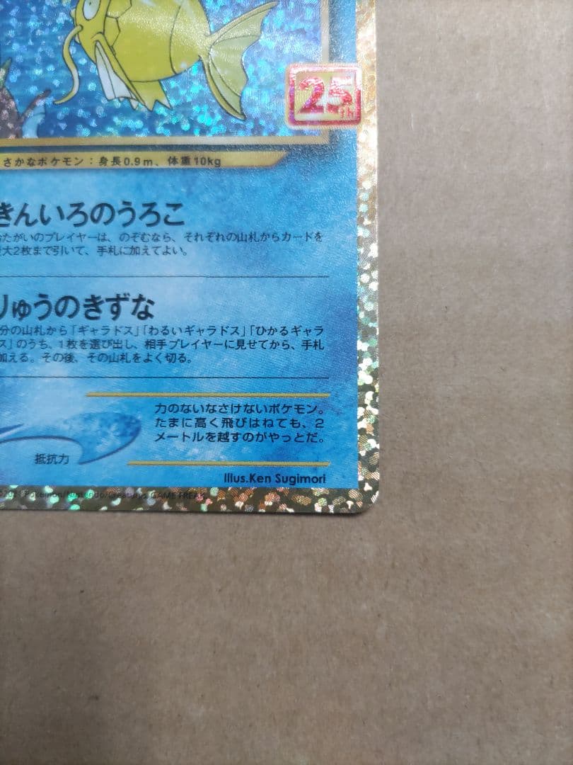 ひかるコイキング　25th