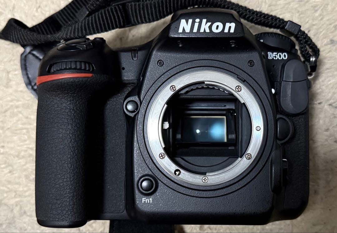 Nikon D500 ボディ& メモリーカード2種(XQD、SDHC)