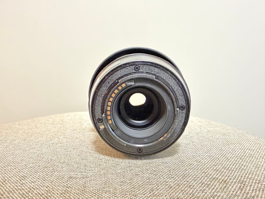 FUJIFILM X-T100 ミラーレスカメラ　ダブルレンズズームキット