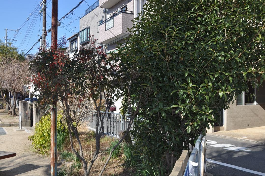 Nikon D5000 レンズ 18-55mm デジタル一眼レフ 動作品