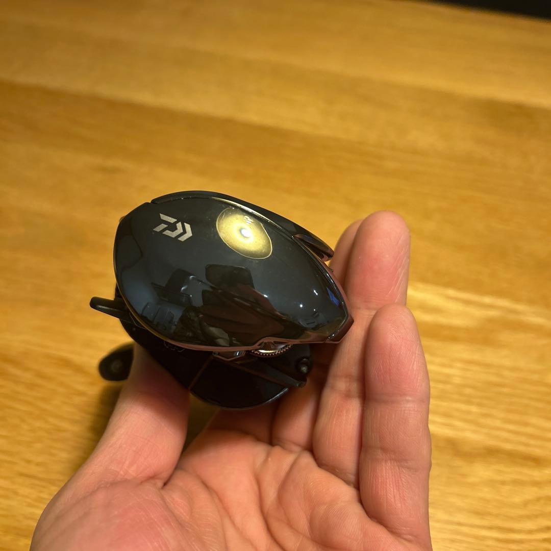 ダイワ 24スティーズ SV TW 100XHL