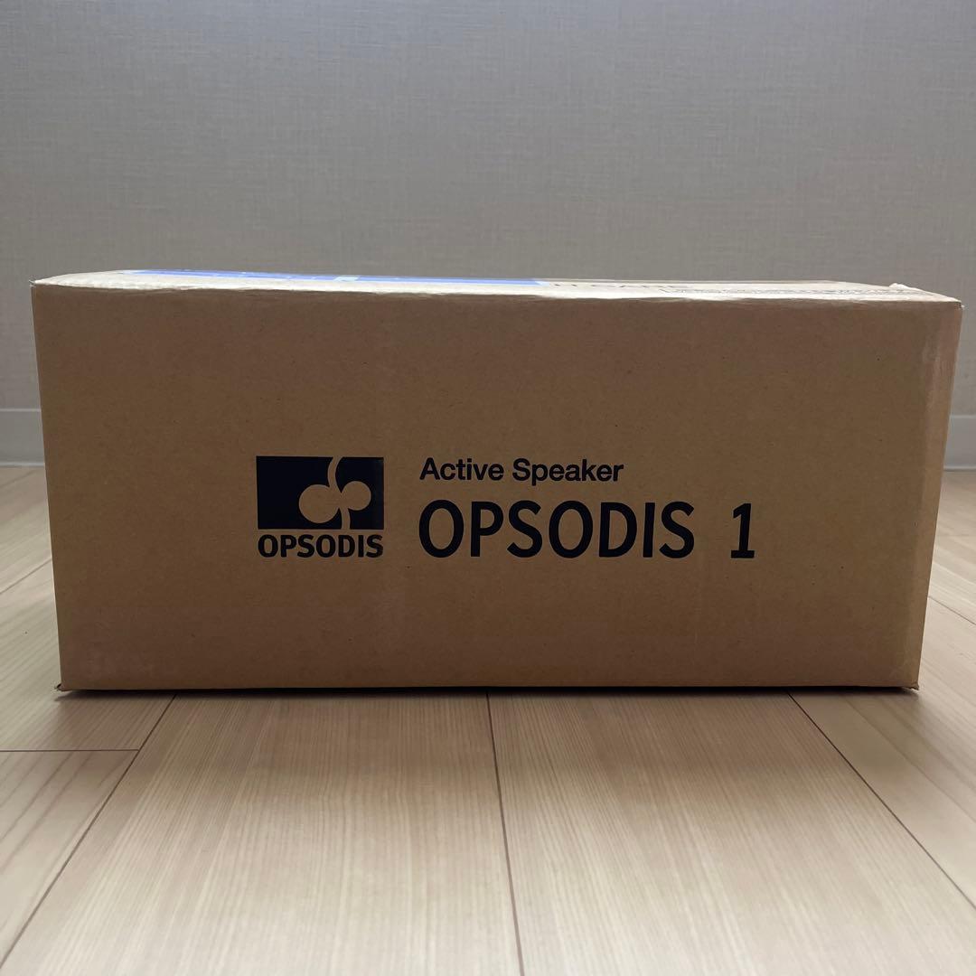 OPSODIS 1 立体音響スピーカー 鹿島建設