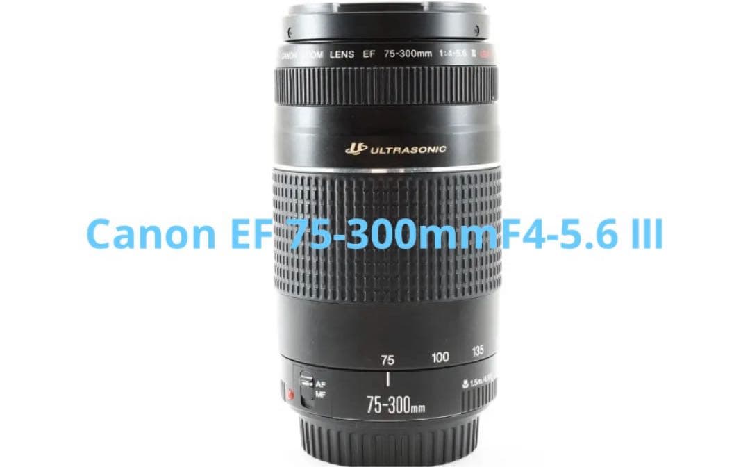 ☆ 美品☆キヤノン Canon EF 75-300mm F4-5.6 Ⅲ USM
