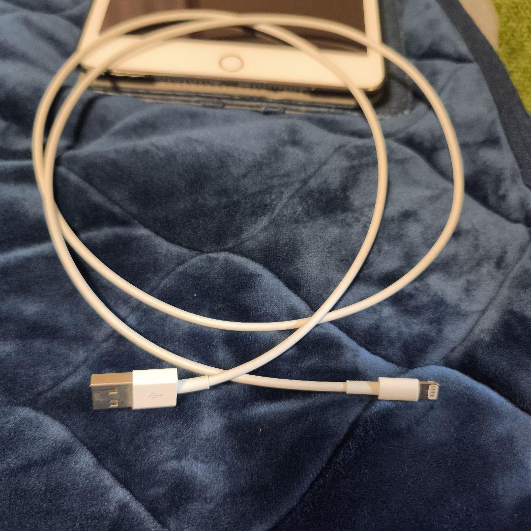 iPad mini4 128GB SIMフリー Cellularモデル