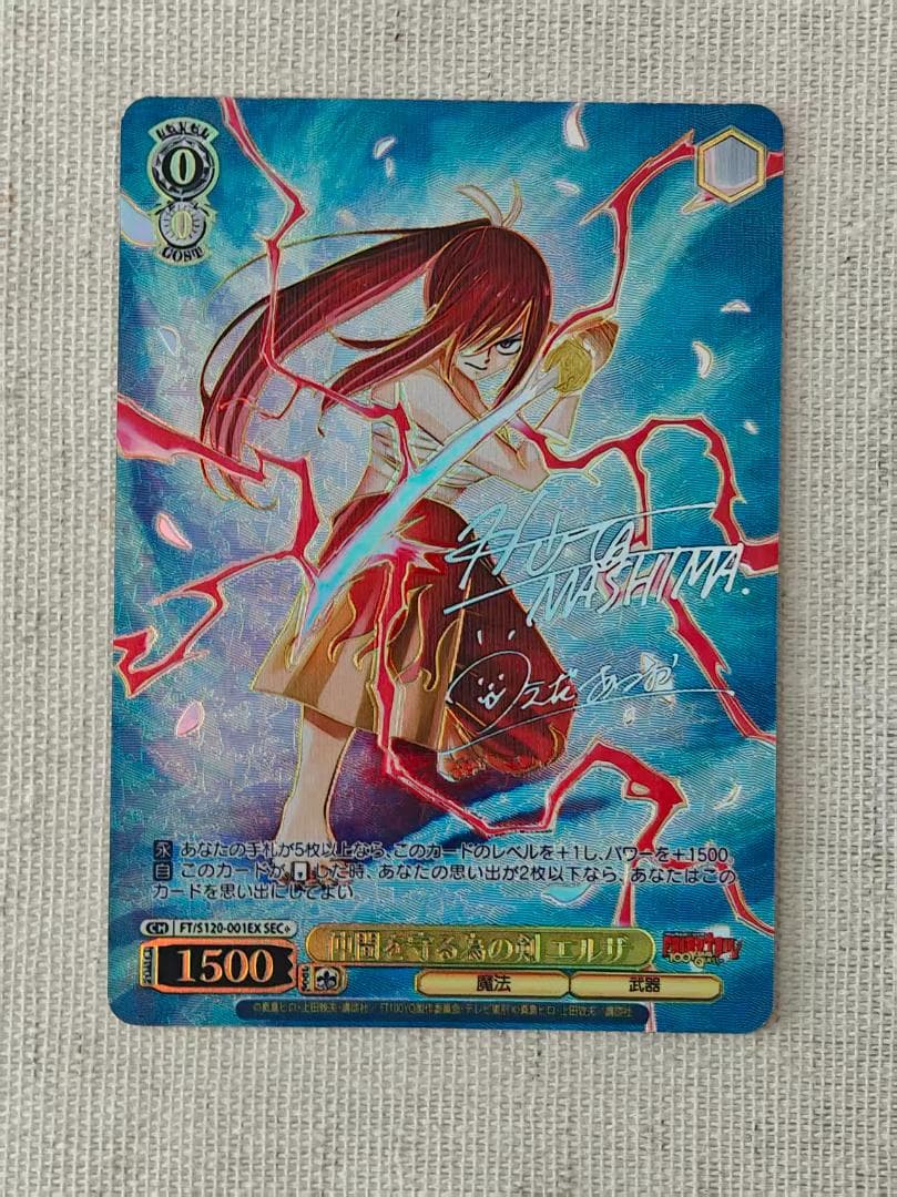 FAIRYTAIL 仲間を守る為の剣エルザ SEC