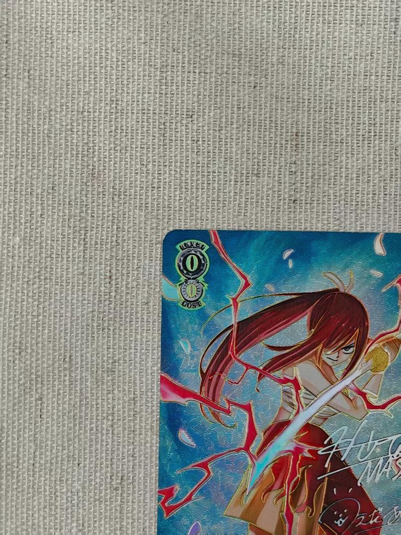 FAIRYTAIL 仲間を守る為の剣エルザ SEC