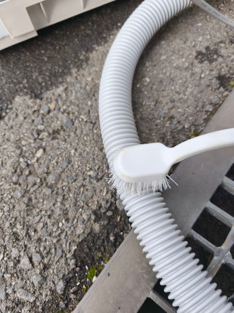 関東限 23年 分解清掃済 条件で無料配 東芝 洗濯機 縦型洗濯機