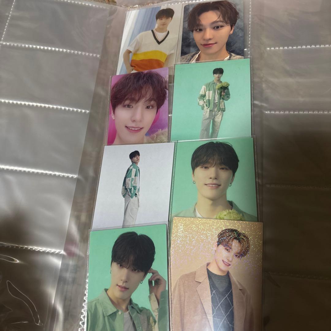 セブチ　ディノ　まとめうり　約40種