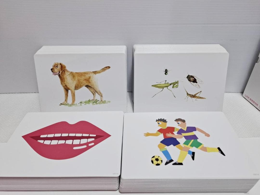 七田式 かな絵ちゃん ABセット 日本語版 フラッシュカード 単語リスト2冊付き