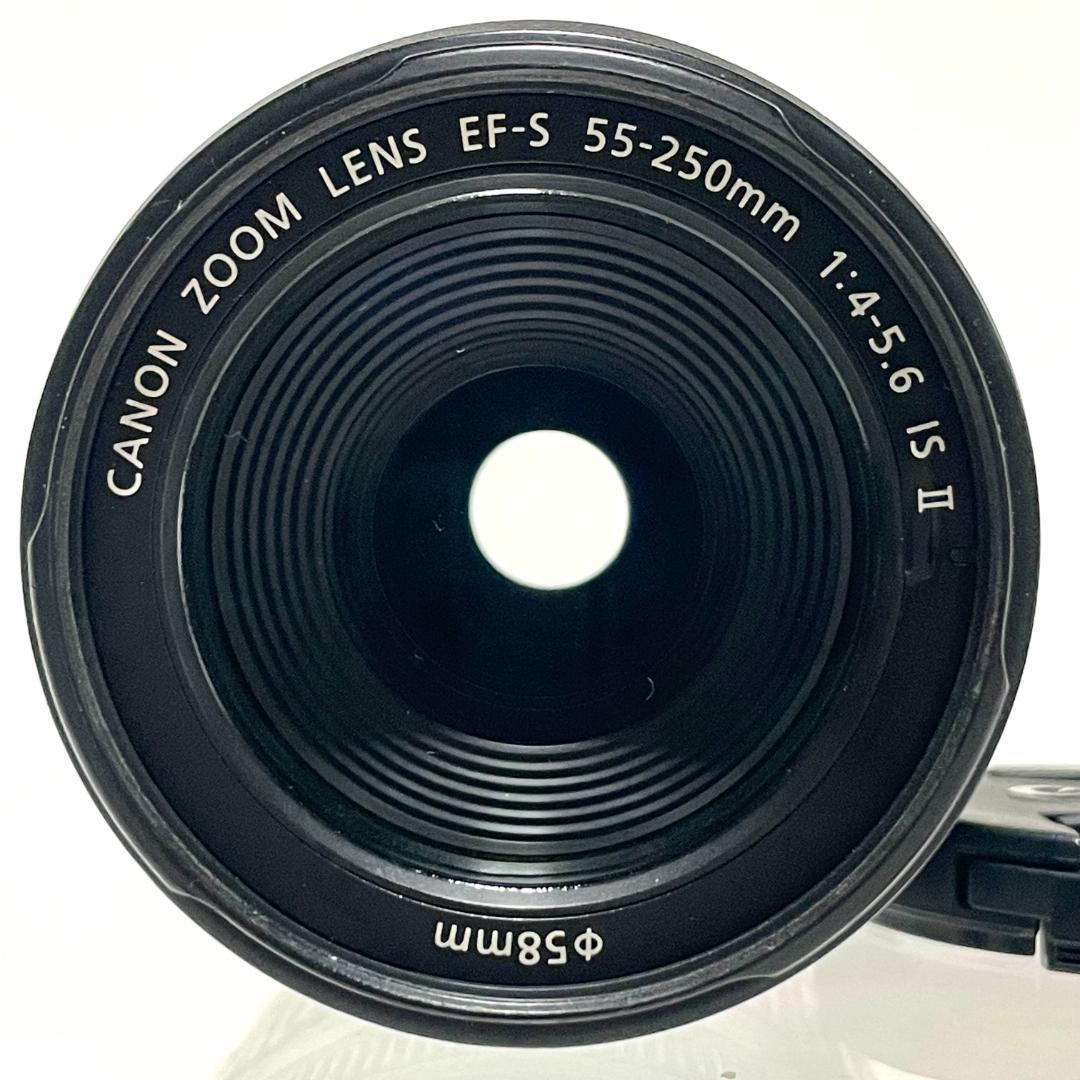 優秀な手ブレ補正❣️ Canon EF-S 55-250mm IS II 軽量
