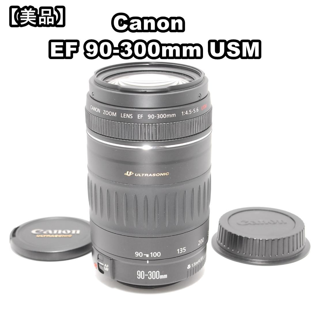 【美品】望遠撮影に最適❣Canon EF 90-300mm USM❣動作良好❣