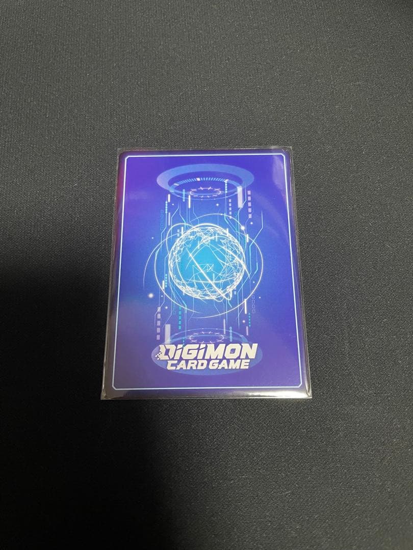 ST22 レナモン 希少レア