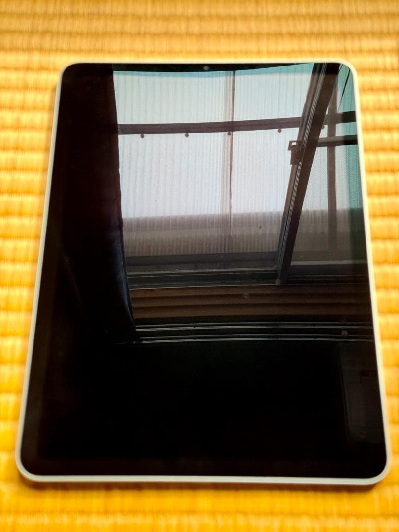 iPad Air (第4世代) Wi-Fi 256GB スカイブルー SKF付属