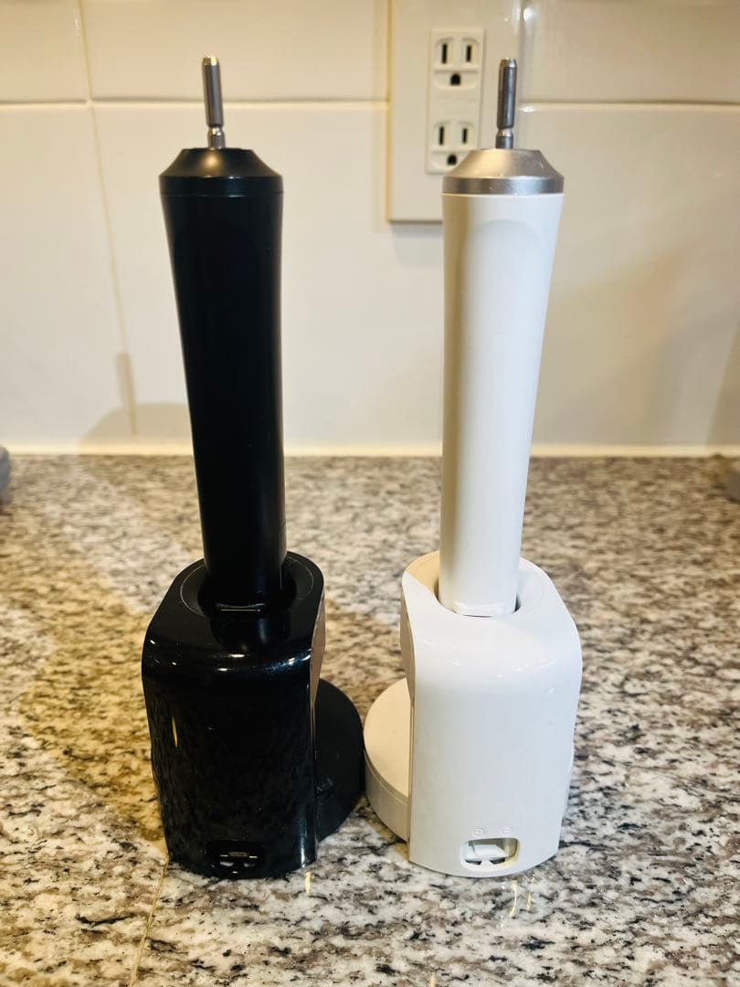 Panasonic Doltz 電動歯ブラシ 本体 2色セット