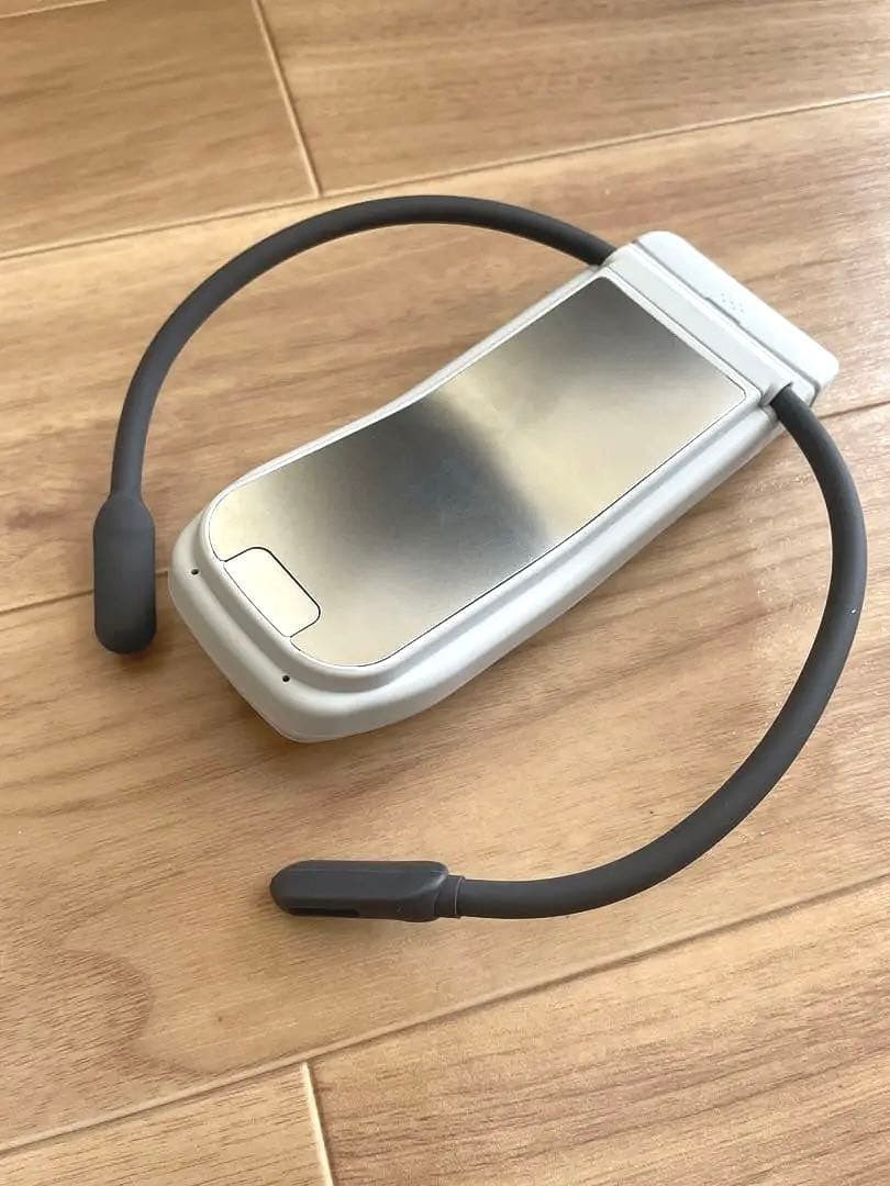 【美品、内袋あり】レオンポケットプロ　REON POKET PRO