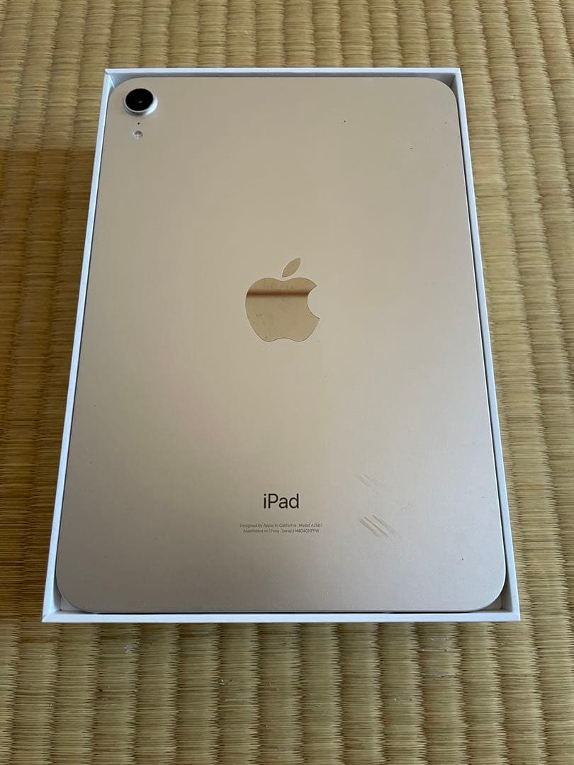 iPad mini ゴールド 本体
