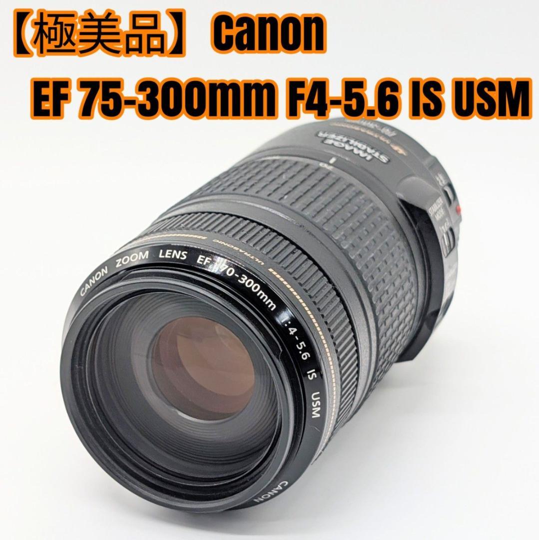 【極美品】Canon EF 75-300mm F4-5.6 IS USM
