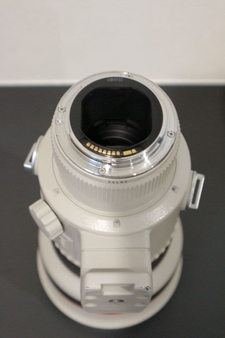 レンズ(単焦点) Canon EF300mm 1:2.8L ULTRASONIC