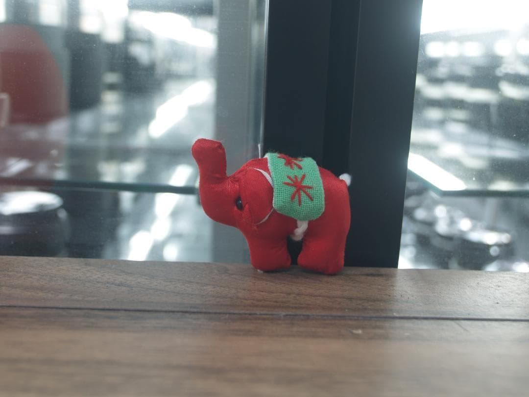 ショット数1390回【作例あり】OLYMPUS E-500 オリンパス 一眼レフ