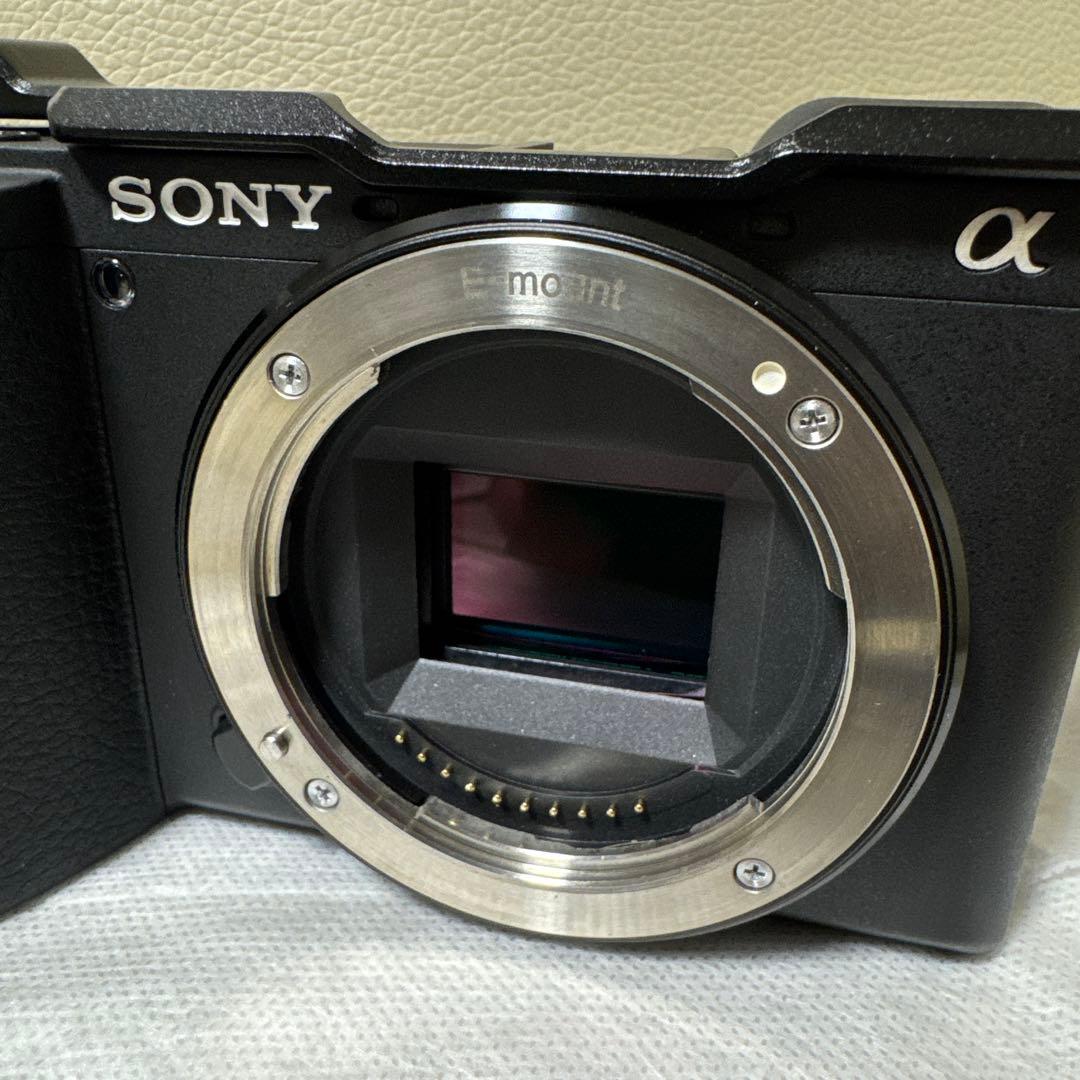 【g】SONY α6600 ミラーレス 一眼 本体