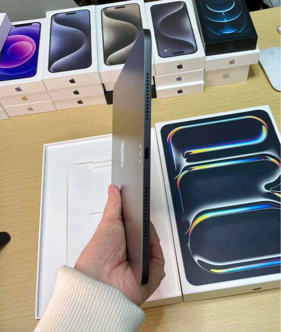 【美品】iPad Pro 11 M4 WiFi+Cellular