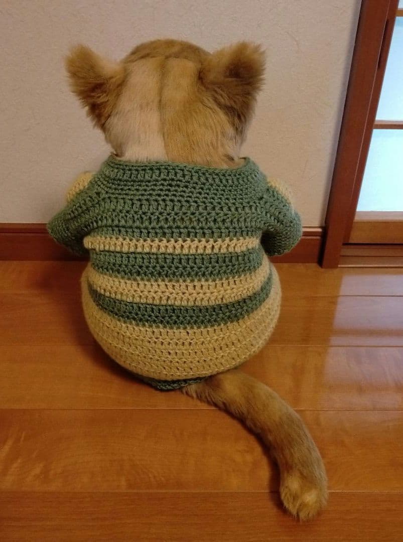 カドリー cuddlyわさ美 Wasabi 「手編みのカーディガン付き」