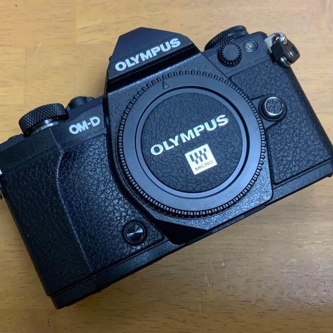 H*I様 <美品> OLYMPUS E-M5 Mark II 【値下げ予定なし】