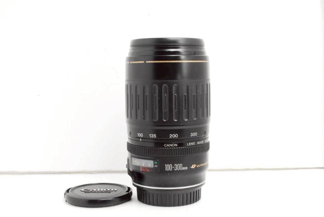 Canon EF 100-300mm F4.5-5.6 USM ✨ 超望遠レンズ