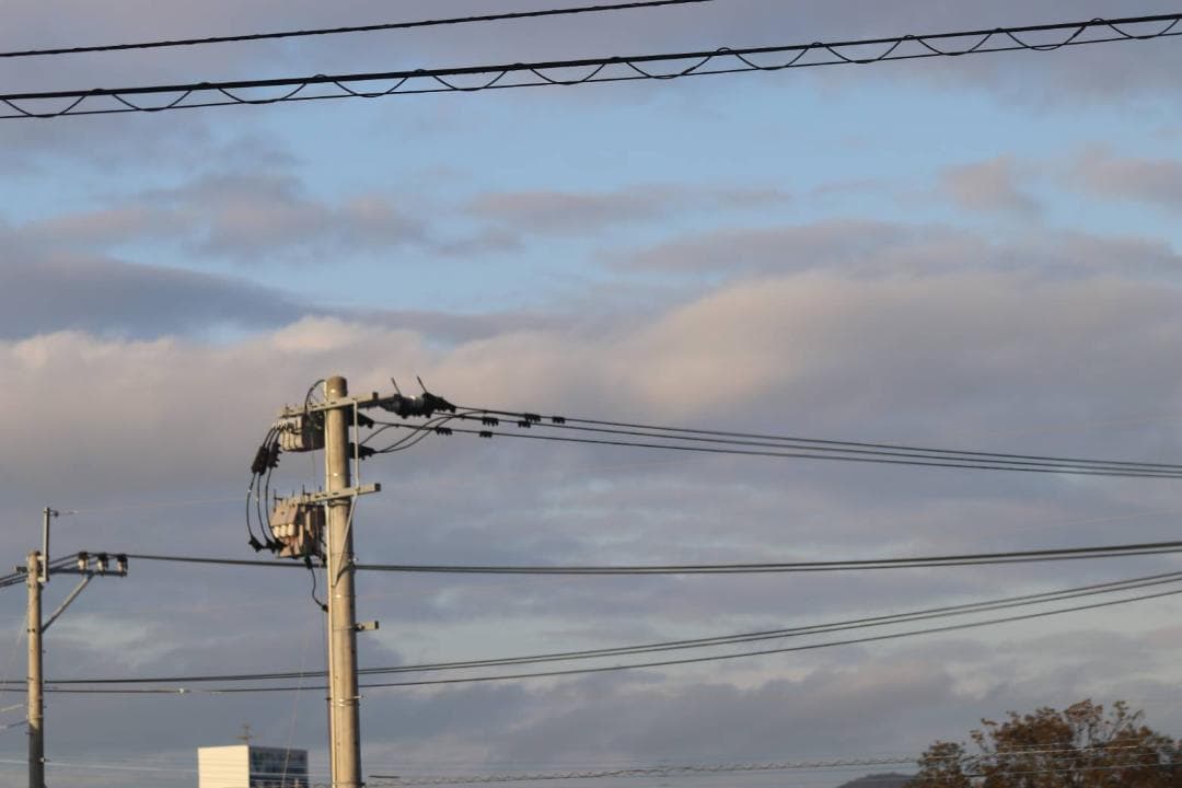 Canon EF 100-300mm F4.5-5.6 USM ✨ 超望遠レンズ